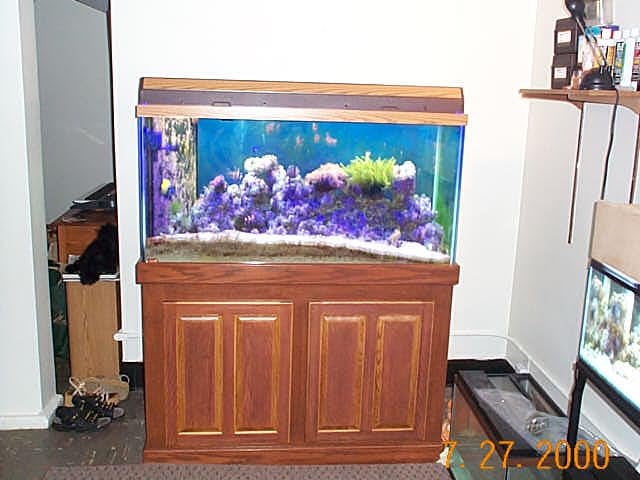 full tank w/stand; Actual size=240 pixels wide